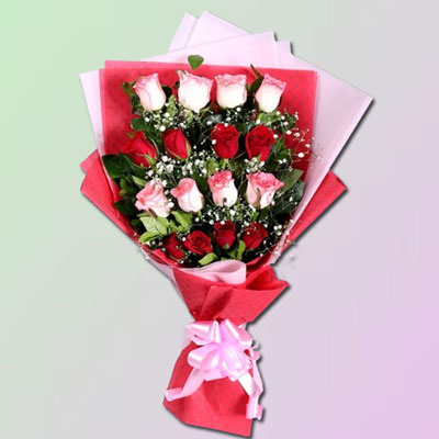 "16 Red and Pink Ro.. - Click here to View more details about this Product